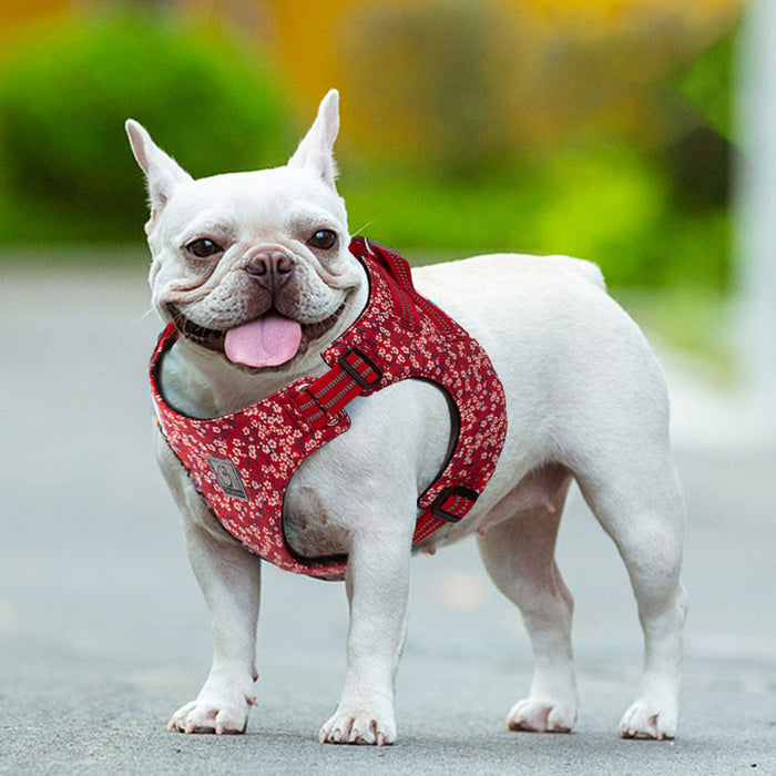 Floral Doggy Harness Red 2XS