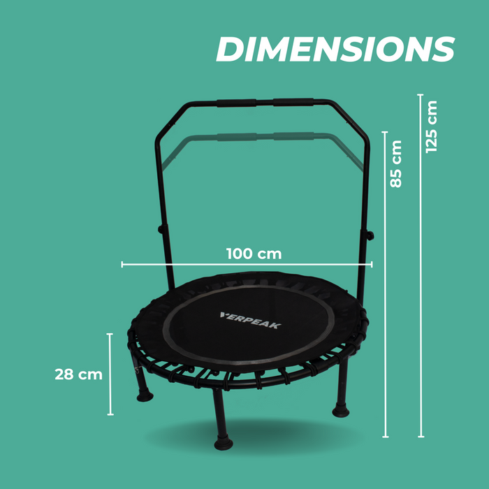 Verpeak Fitness Trampoline 40" with U Shape Handrail VP-TP-102-JDI