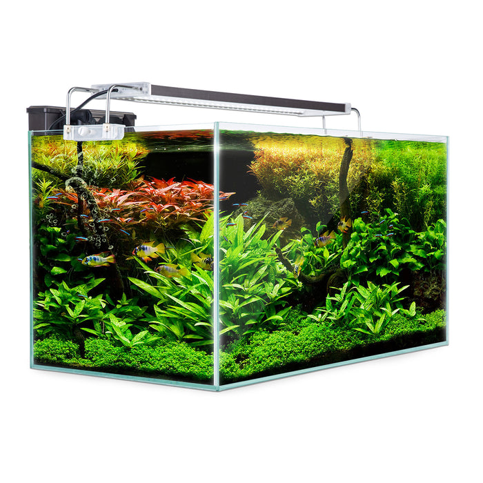 Dynamic Power Aquarium Fish Tank 70L Starfire Glass