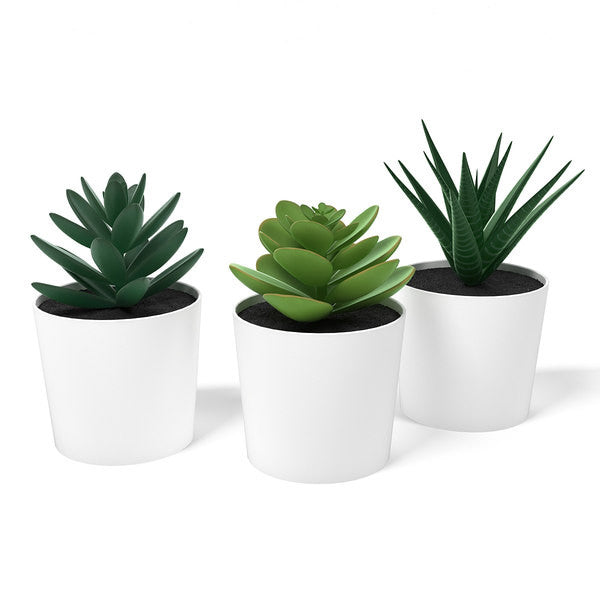 3 Pack of Artificial Succulent Potted Plants in White Plastic 6cm Pot Interior Decoration