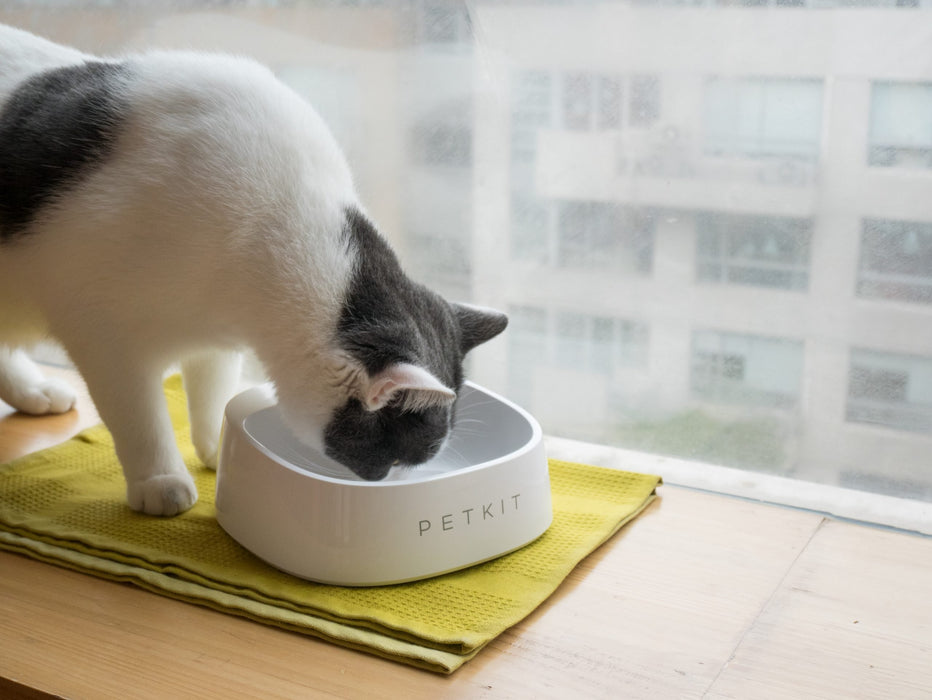 PETKIT Fresh Smart Bowl - White