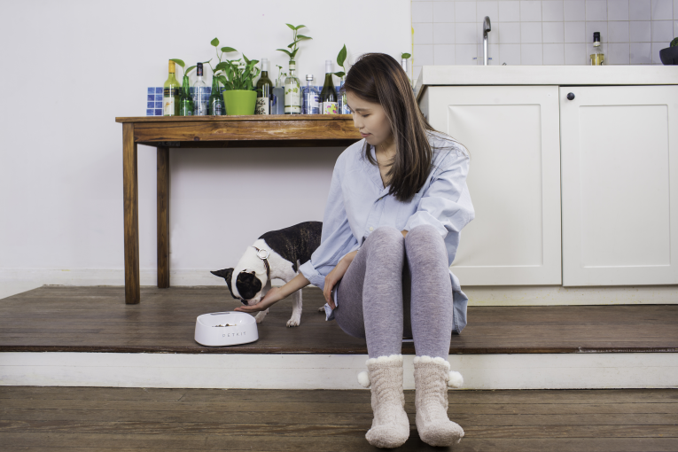 PETKIT Fresh Smart Bowl - White