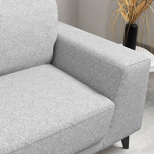 2 Seater Sofa Light Grey Fabric Lounge Set for Living Room Couch with Solid Wooden Frame Black Legs